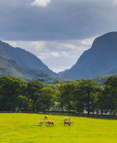 new/horsesinfrontofgapofdunloe.jpeg