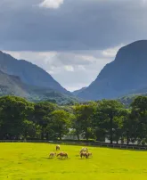 new/horsesinfrontofgapofdunloe.jpeg