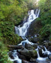 new/torcwaterfall-potraitlowres.jpg