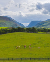 new/viewofthegapofdunloe-landscape.jpeg