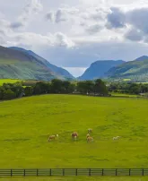 new/viewofthegapofdunloe-landscape.jpeg