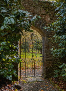 thatched cottage in hotel gardens