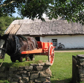 Muckross Traditional Farms