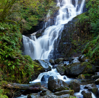 Killarney National Park